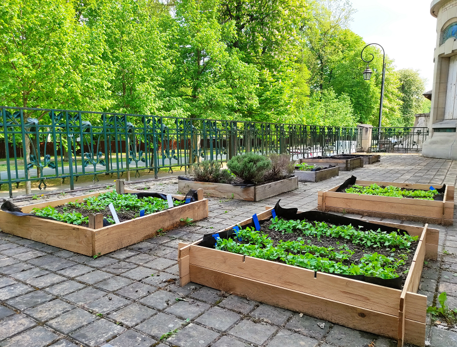 terrasse jardin